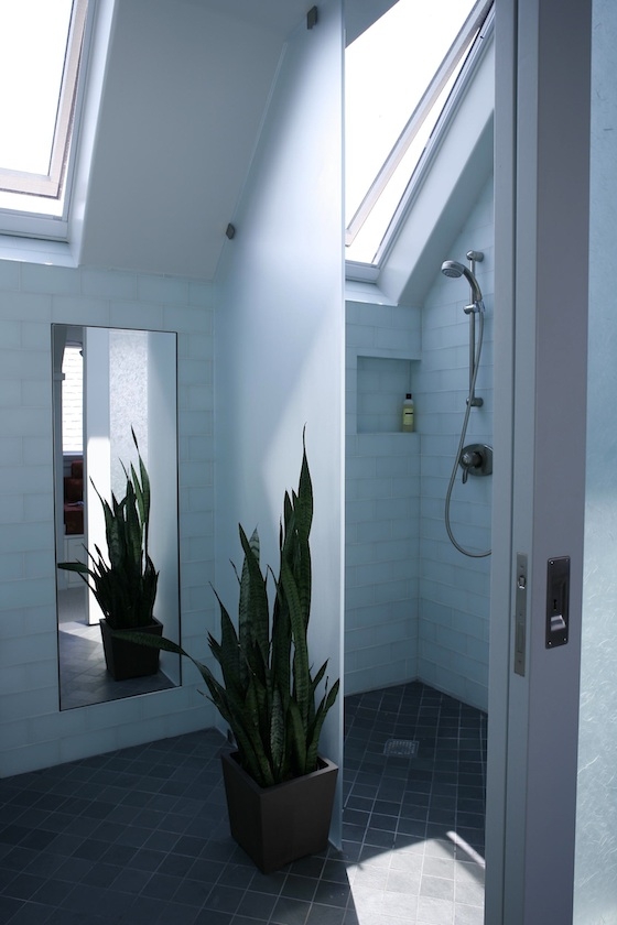 Michael Mullin San Francisco Architect - Renovation in Noe Valley, San Francisco